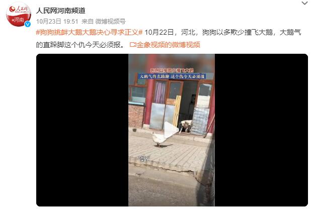 QQ截图20231024103550