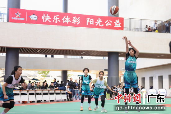 比赛现场。通讯员 供图