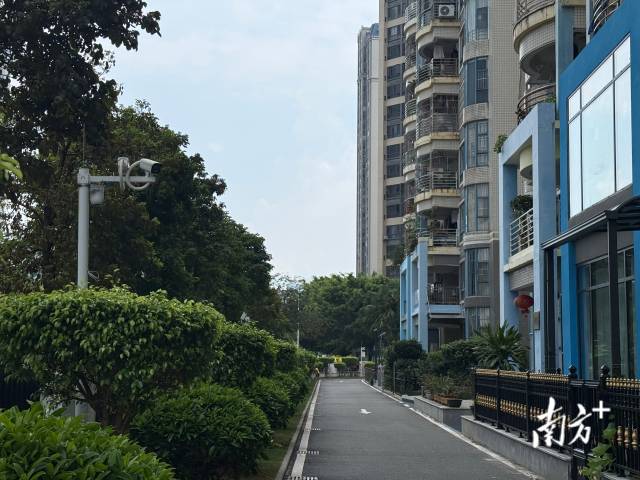 南方+记者 卢慧 摄