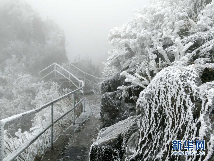 受寒潮的影响，广东大幅降温。12月29日，清远连山金子山迎来了今年最后一场雪，整座山都给冰雪覆盖了，银装素裹。据天气预报，这场雪将延续到元旦后。新华网发