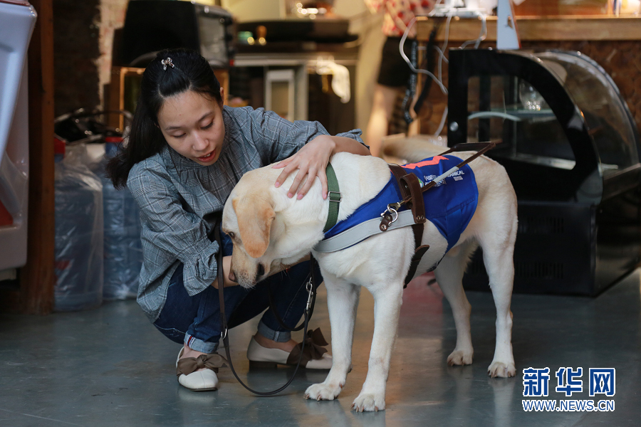 10月15日是“国际盲人节”，对于视障人士而言，导盲犬的出现，一定程度上为视障朋友带来更自由、更独立、有尊严的生活。
