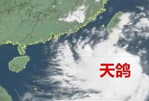 广东茂名启动台风Ⅲ级应急响应防“天鸽”