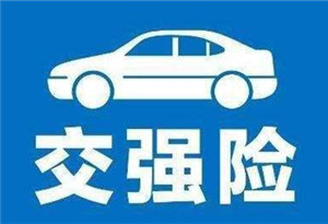 广州推出交强险电子保单 上路未带标志不再处罚