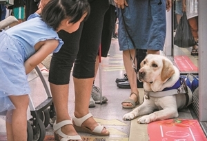 导盲犬“身份证”多 上地铁有点难