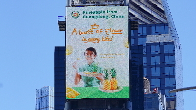 “菠萝的海，香飘世界”海报亮相纽约时报广场“中国屏”