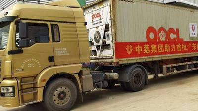20.27吨广东梅州蜜柚出口美国市场