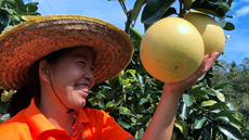 农民丰收看广东丨期待一场舌尖上的甜蜜“柚”惑