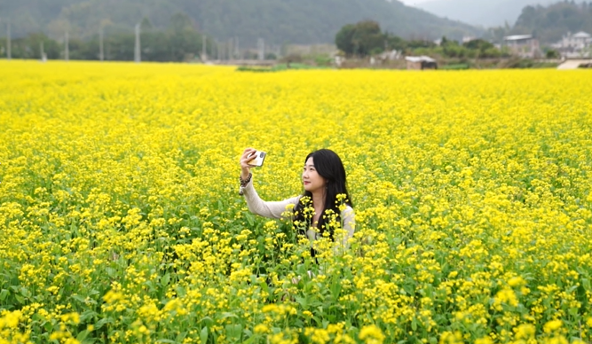 绿美广东在行动丨梅州：油菜花开 春意盎然