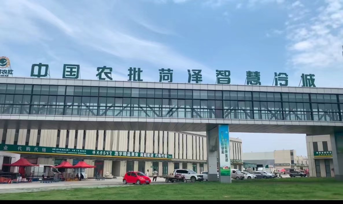 格力冷冻冷藏助力水果蔬菜保鲜