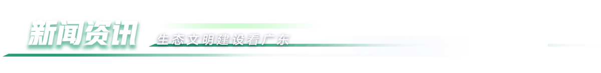 新闻资讯